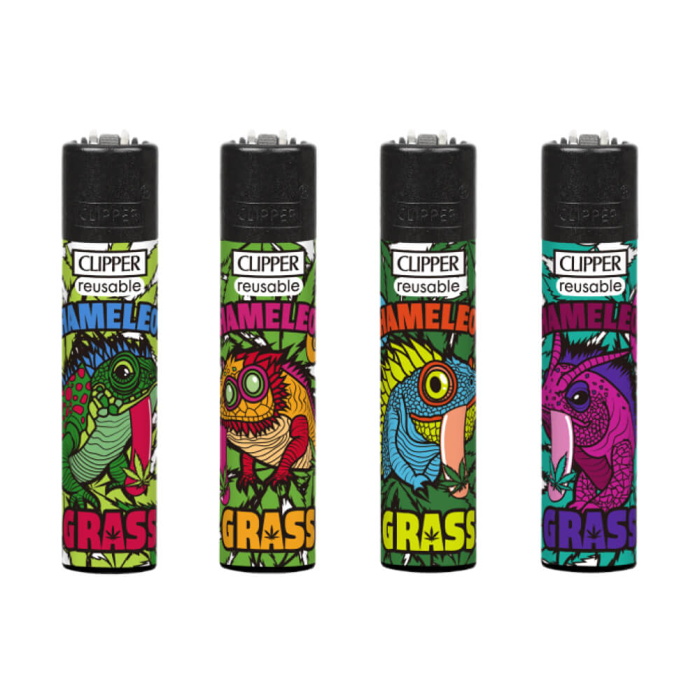 Clipper Classic Chamäleongras (24 Stück/Display)