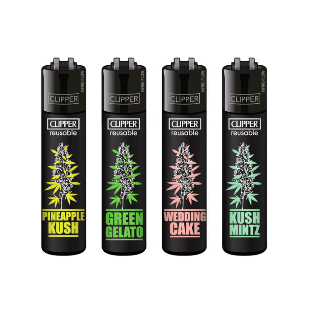 Clipper Lighter Plantz #6 (48 Stück/Display)