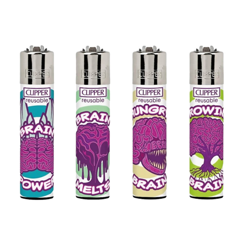 Clipper Classic Gehirne (24 Stück/Display)