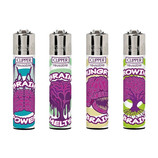 Clipper Classic Gehirne (24 Stück/Display)