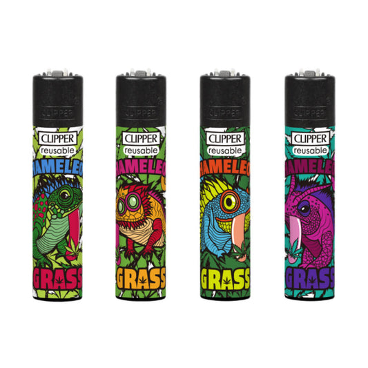Clipper Classic Chamäleongras (24 Stück/Display)