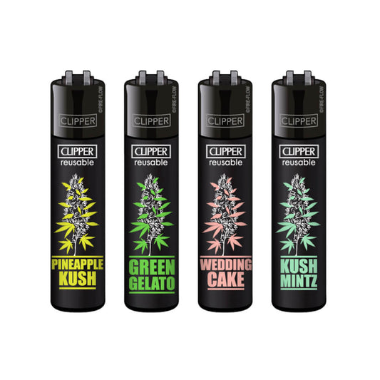 Clipper Lighter Plantz #6 (48 Stück/Display)