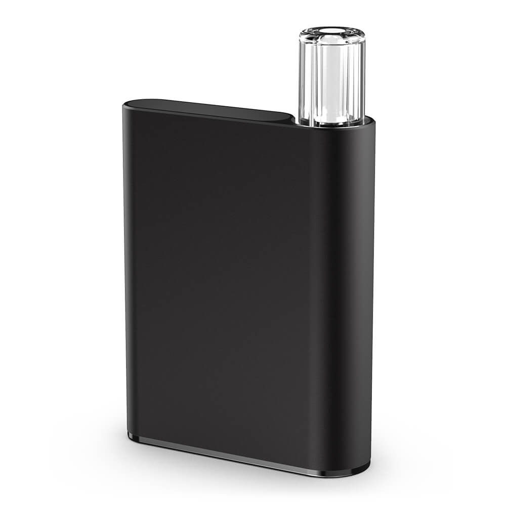 CCELL Palm Akku 500 mAh Schwarz + Ladegerät 510 Gewinde